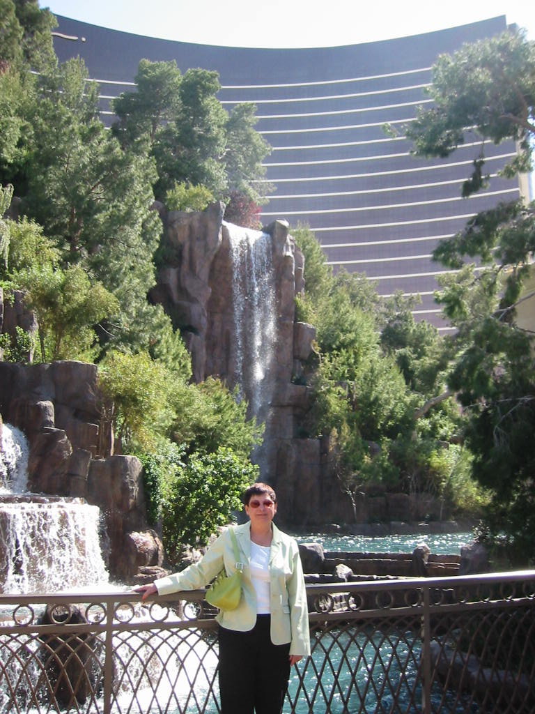 Las Vegas Steve Wynn hotel